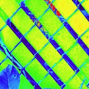 Meet your Posher, Jen